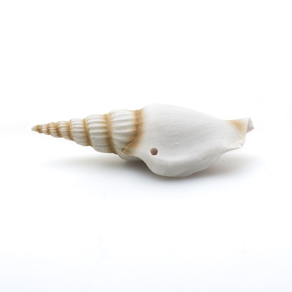 

Prime Декорация пластиковая для аквариума Ракушка спиральная малая, 7,5х2,5х2 см