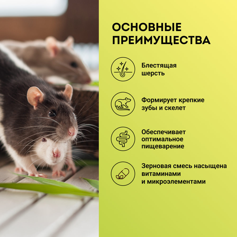 

GRUMS Корм для крыс, 800 гр.