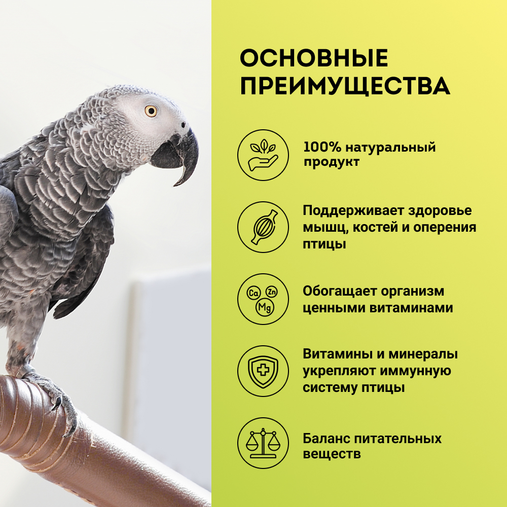 

GRUMS Корм для крупных попугаев, 400 гр.