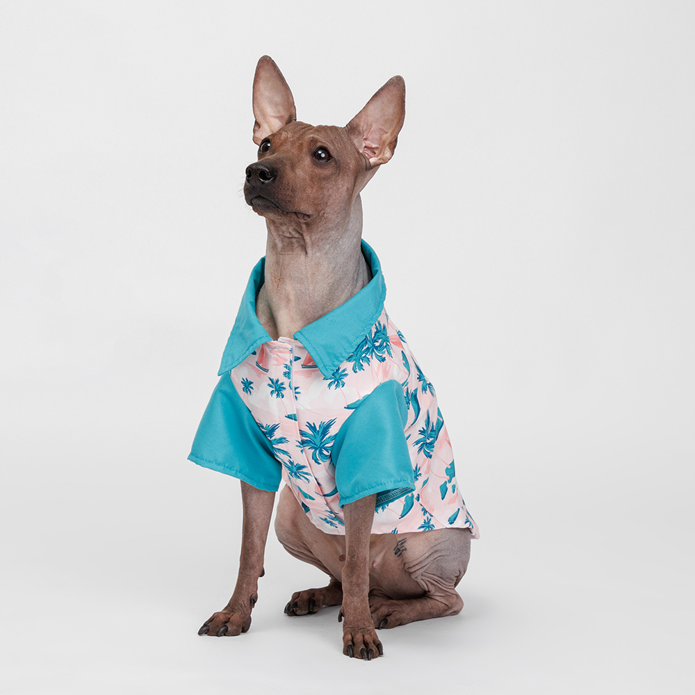 

RURRI Футболка для кошек и собак, , голубая с принтом, Голубой