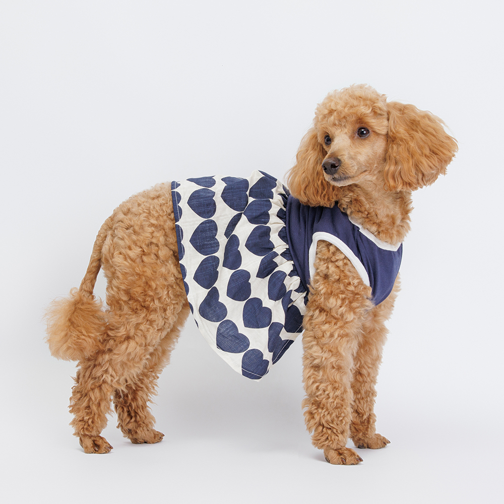 

Petmax Платье для собак и кошек, , синее, Синий