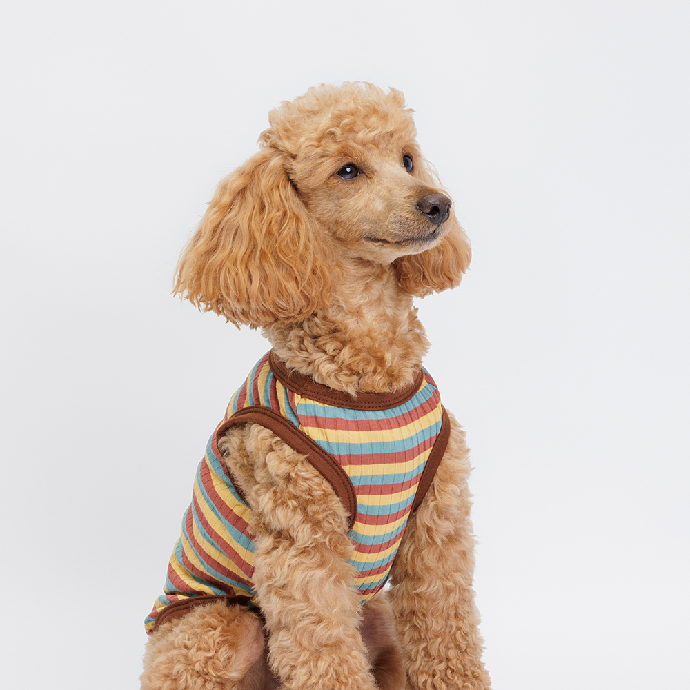 

Petmax Майка полосатая с ленивцем для собак, , коричневая, Коричневый