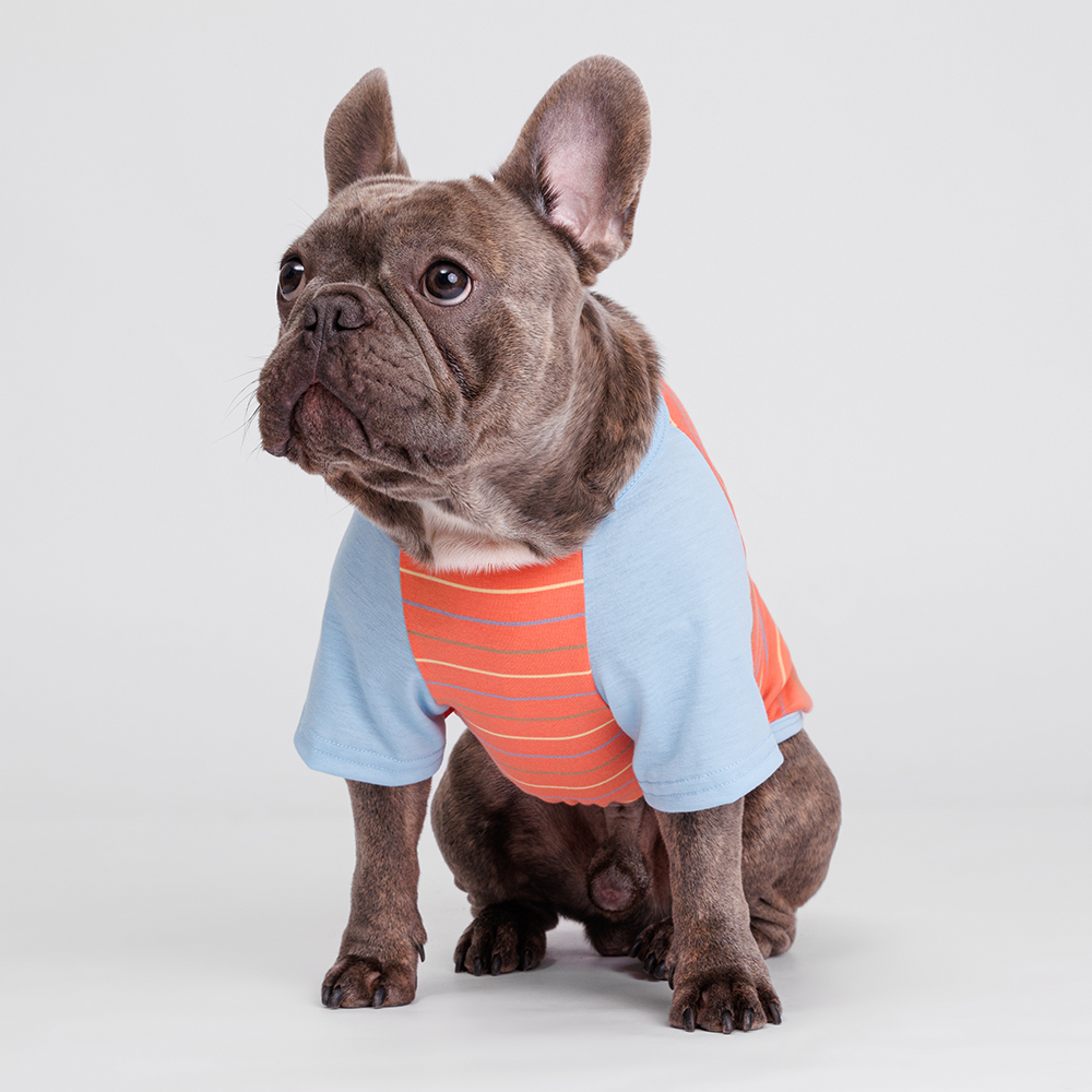 

Petmax Футболка в полоску для собак и кошек, , оранжевая, Оранжевый