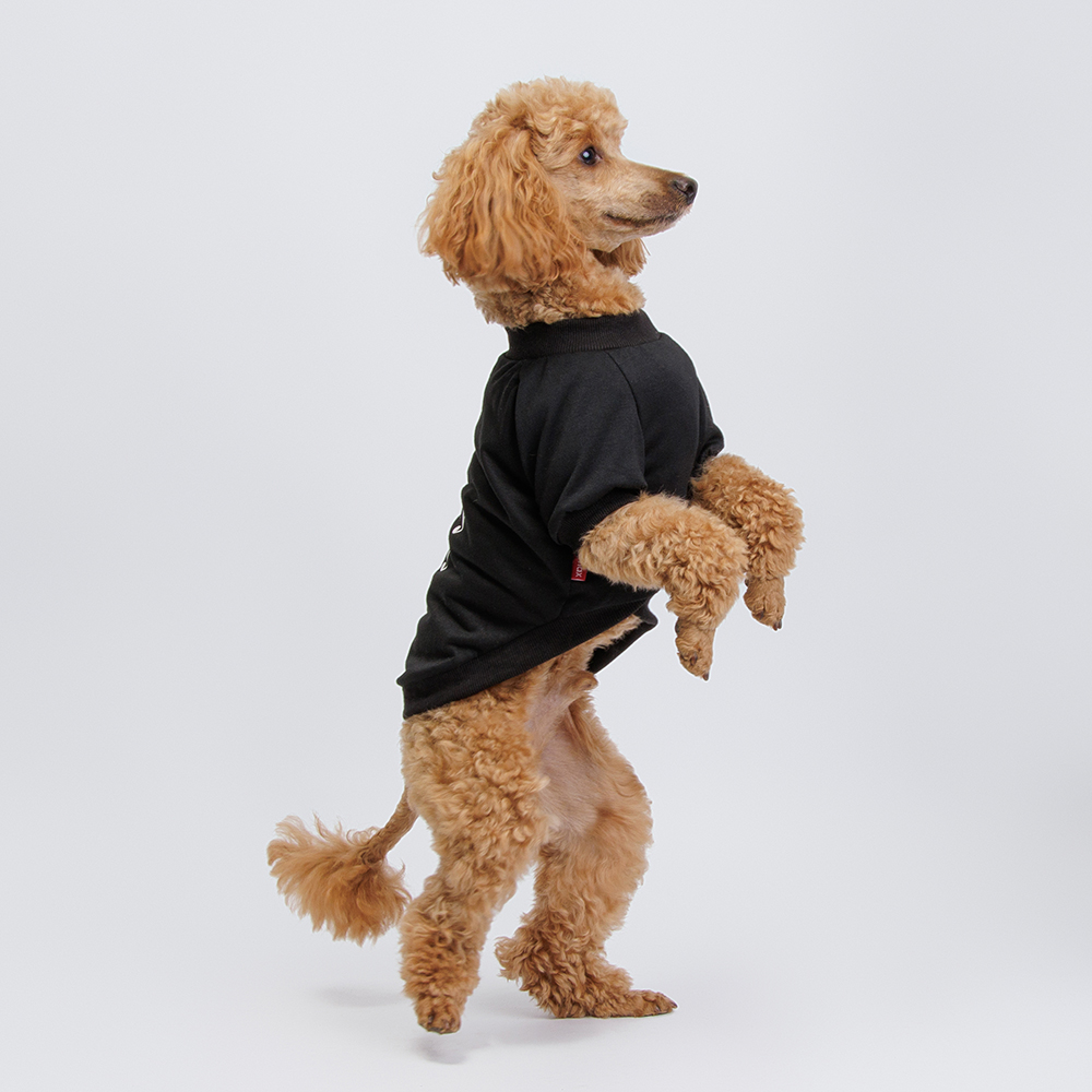 

Petmax Футболка для кошек и собак Happy, , черная, Черный