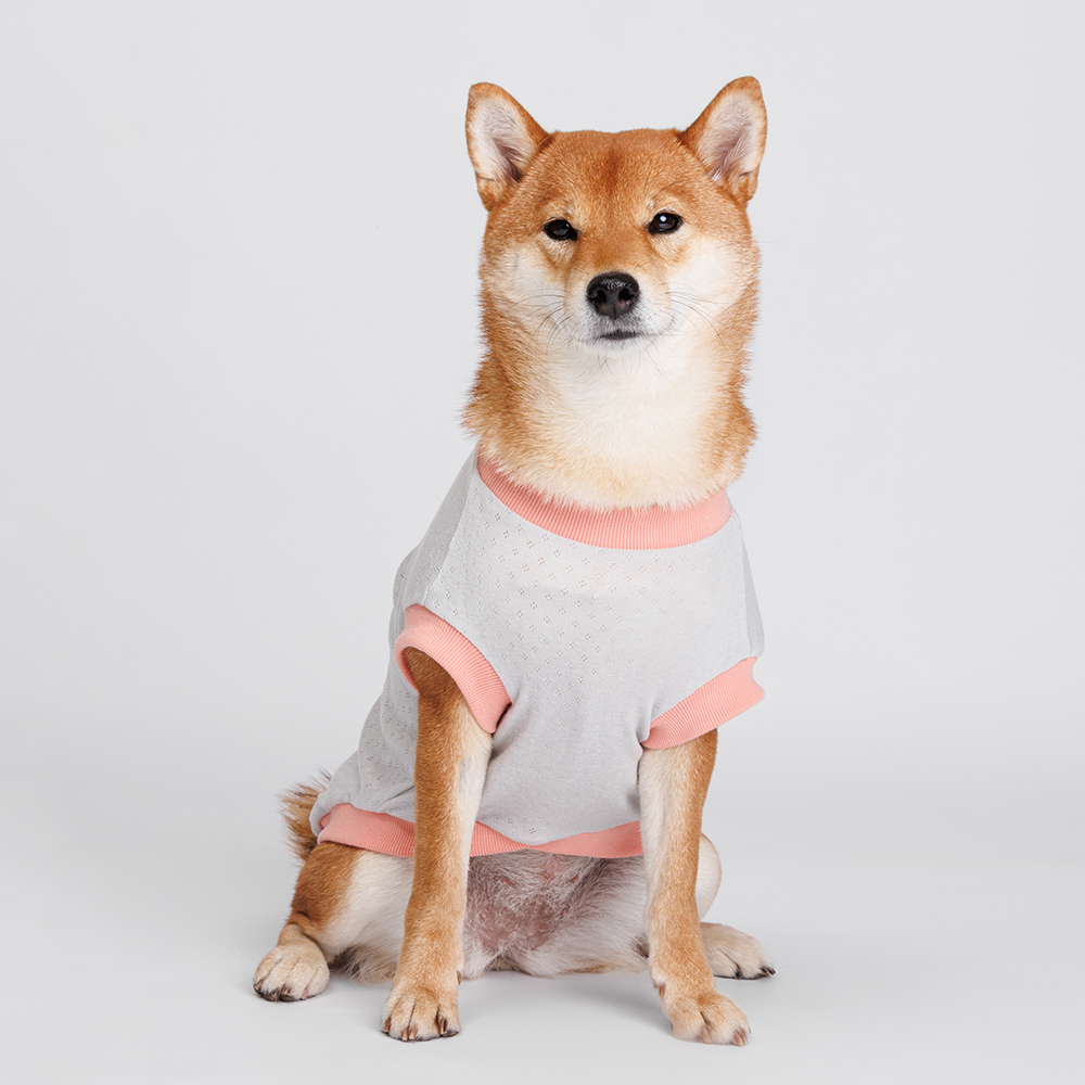 

Petmax Футболка с пейзажем для собак, , серая, Серый