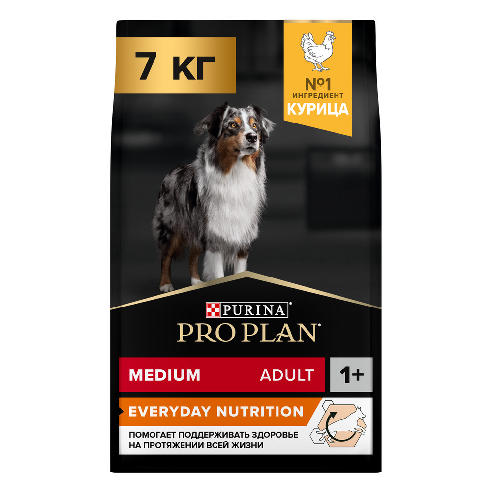 

ProPlan Everyday Nutrition Сухой корм для взрослых собак средних пород, с высоким содержанием курицы, 7 кг