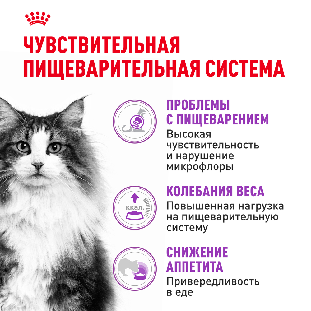 

Royal Canin Sensible 33 Regular Сухой корм для кошек в возрасте от 1 года до 7 лет при чувствительной пищеварительной системе, 200 гр.