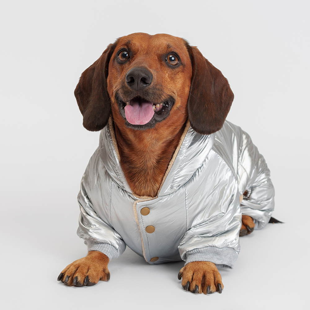 Petmax Комбинезон с капюшоном для собак, 2XL, серебряный