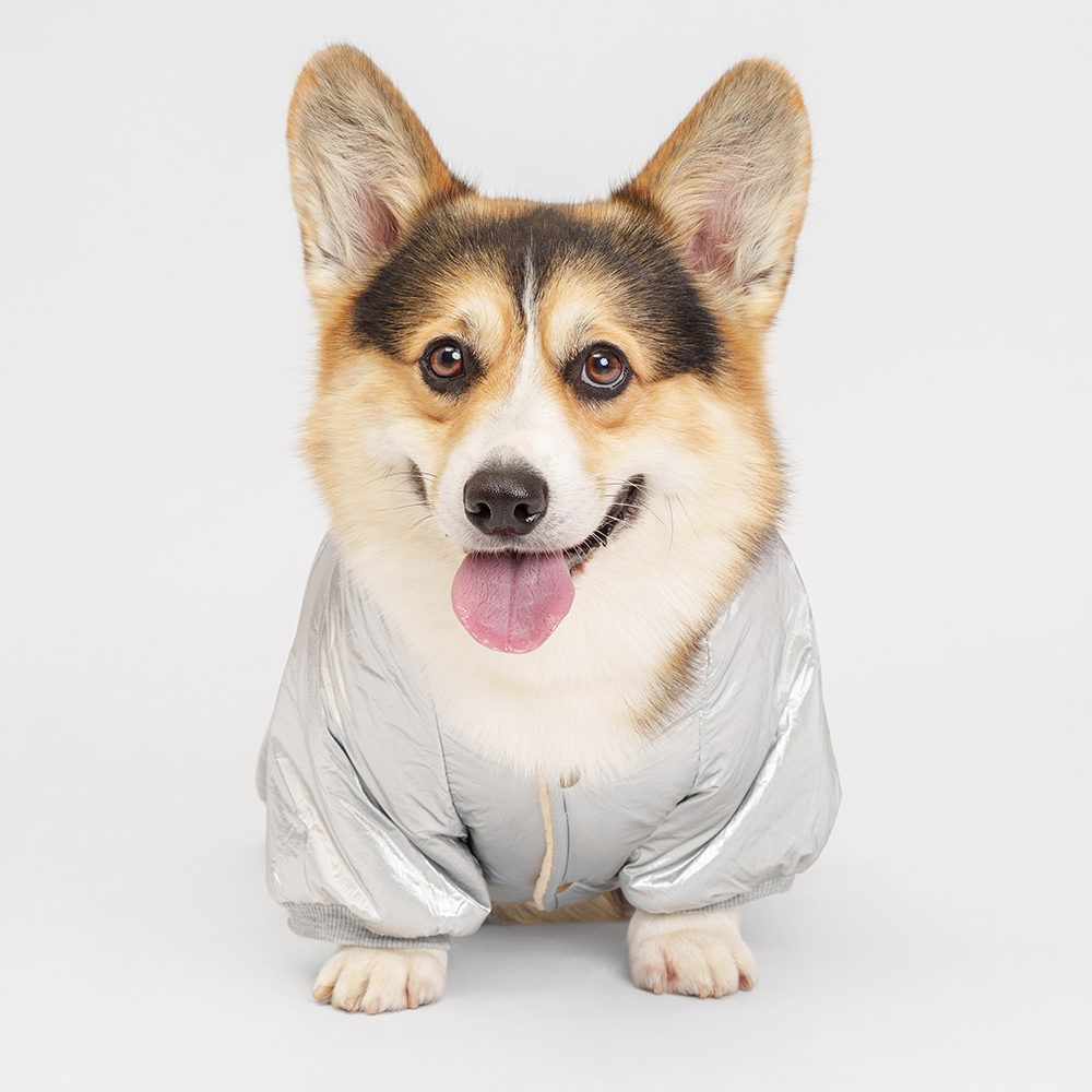 Petmax Комбинезон с капюшоном для собак, 5XL, серебряный