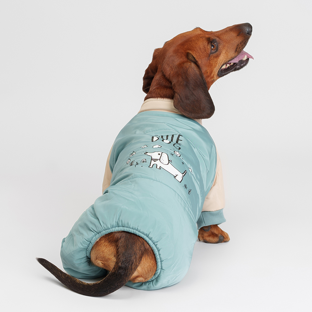Petmax Комбинезон для собак, 2XL, голубой