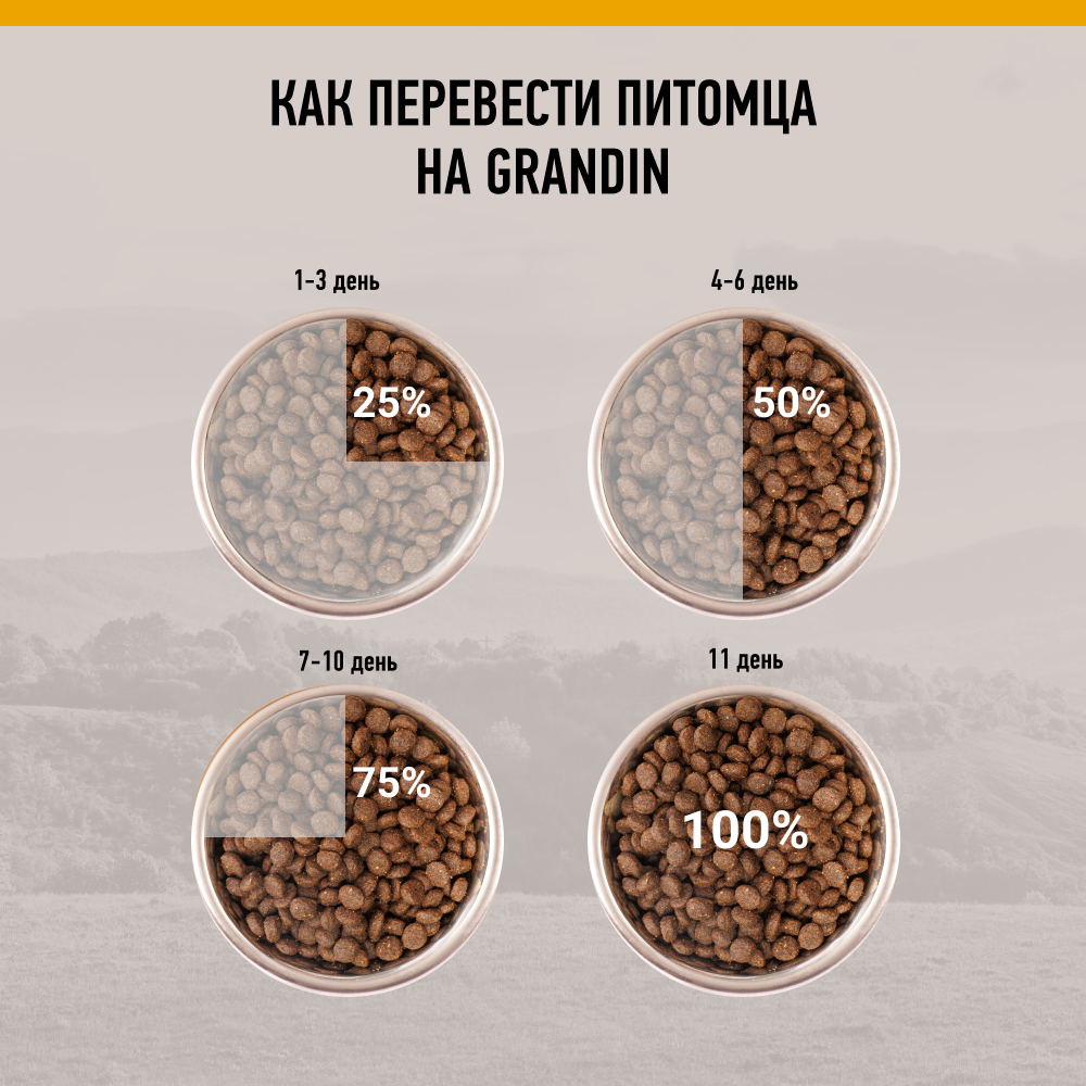 

Grandin Сухой корм для взрослых собак всех пород, с ягненком, 3 кг