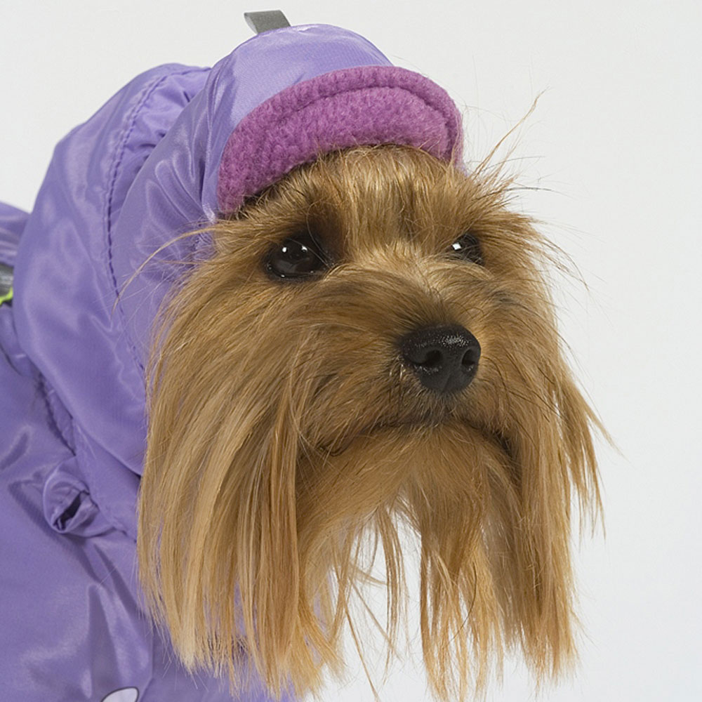 

Тузик Шапка теплая для собак,  (унисекс, Разноцветный