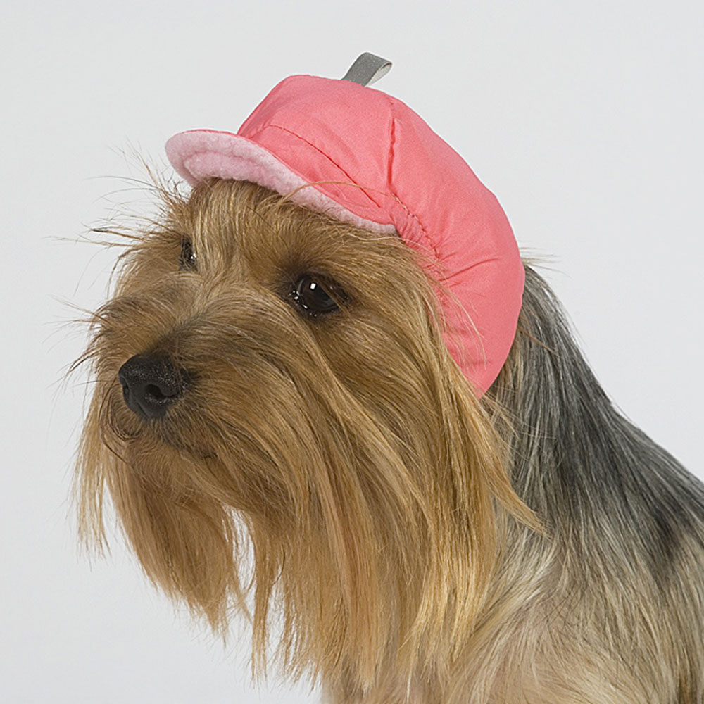 

Тузик Шапка теплая для собак,  (унисекс, Разноцветный