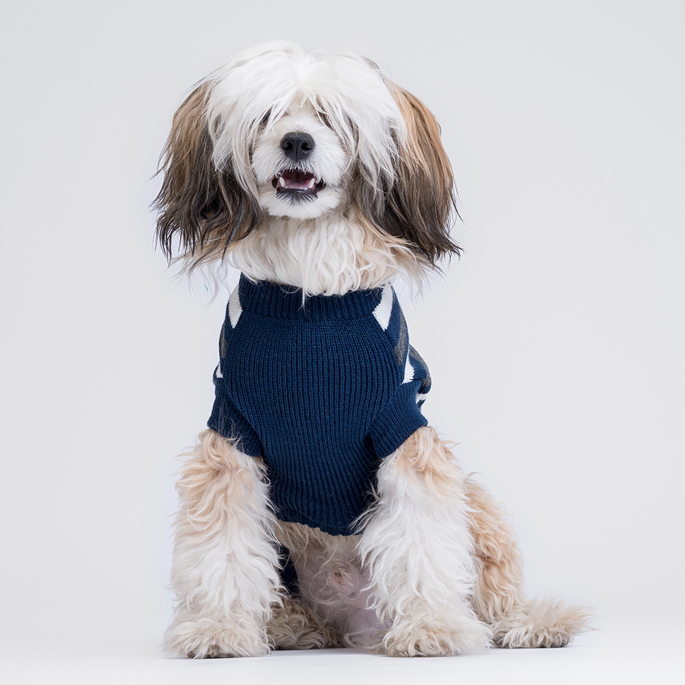 

Petmax Свитер в полоску для кошек и собак, , синий