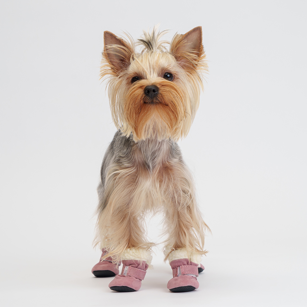 

Petmax Ботинки замшевые для собак, , розовые, Розовый