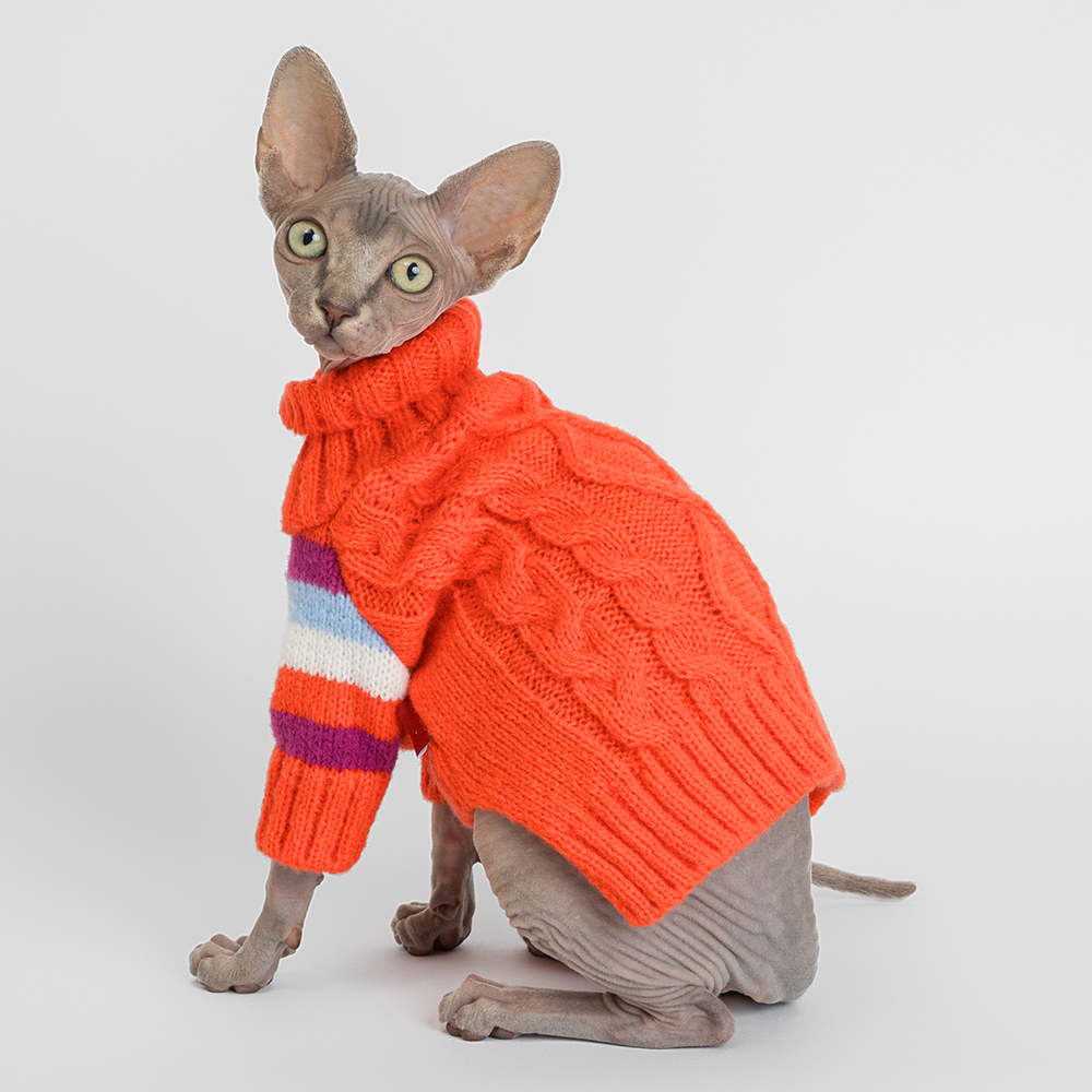 

Petmax Свитер для кошек и собак, , оранжевый