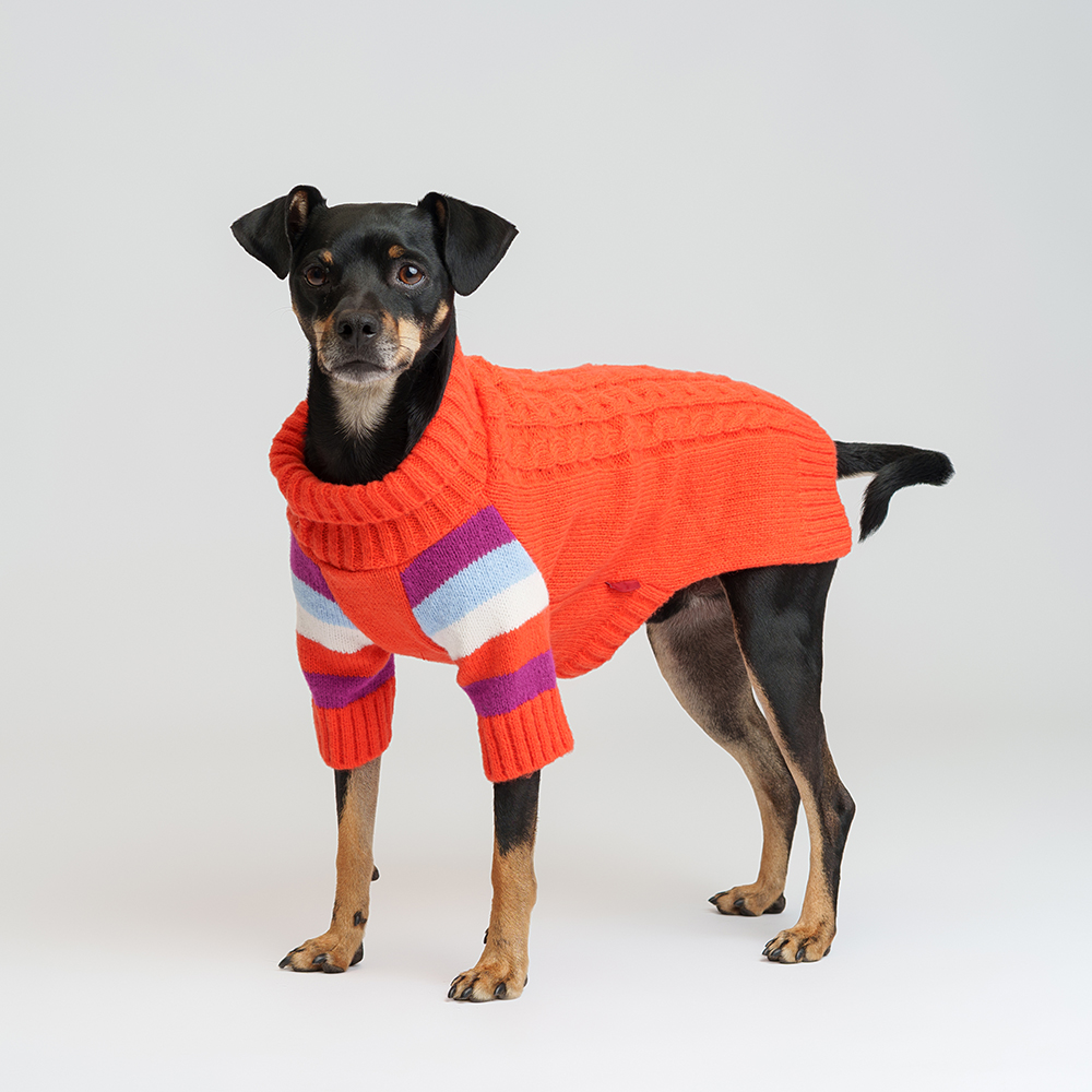 

Petmax Свитер для кошек и собак, , оранжевый