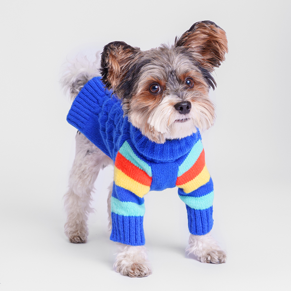 

Petmax Свитер для кошек и собак, , синий