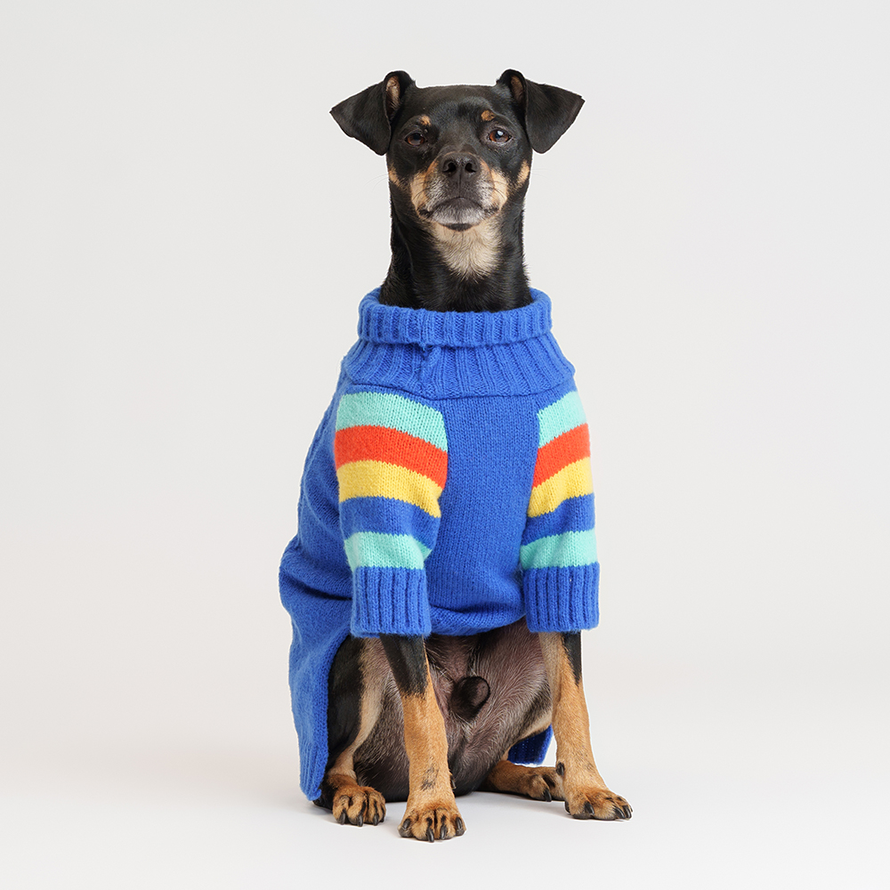 

Petmax Свитер для кошек и собак, , синий