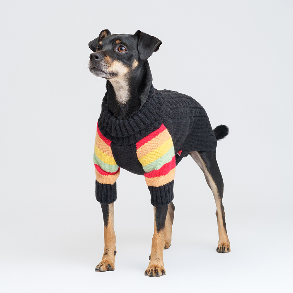 

Petmax Свитер для кошек и собак, , черный