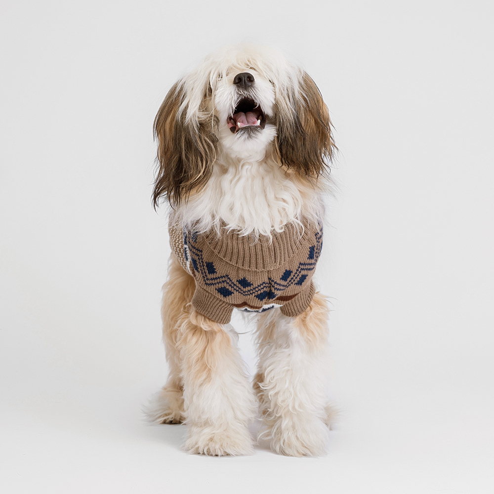 

Petmax Свитер с узорами для кошек и собак, , коричневый