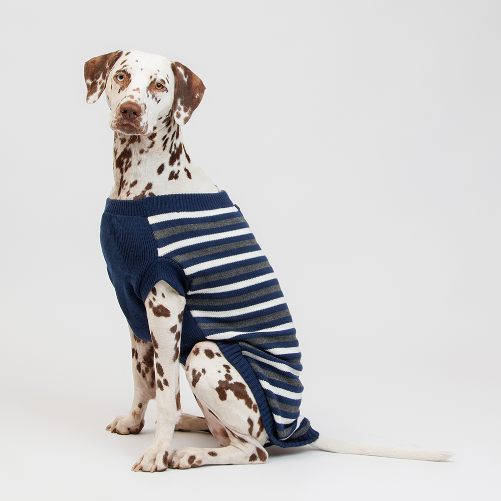 

Petmax Свитер в полоску для собак, , синий (унисекс