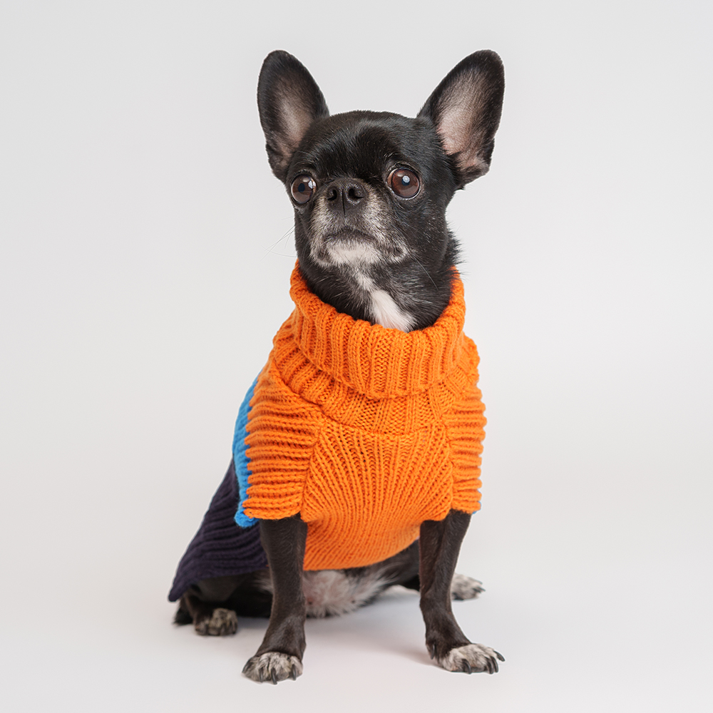 

Petmax Свитер для кошек и собак, , оранжево-синий, Оранжевый