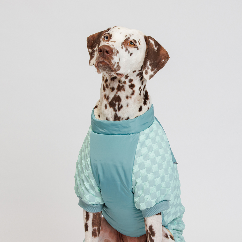 Petmax Комбинезон на замке для собак, 4XL, голубой