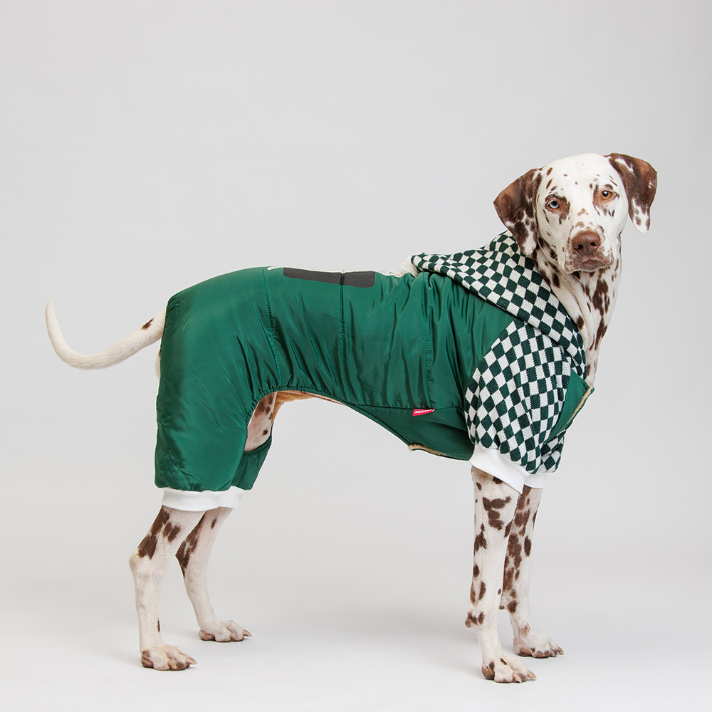 

Petmax Комбинезон с капюшоном для собак, , зеленый (унисекс