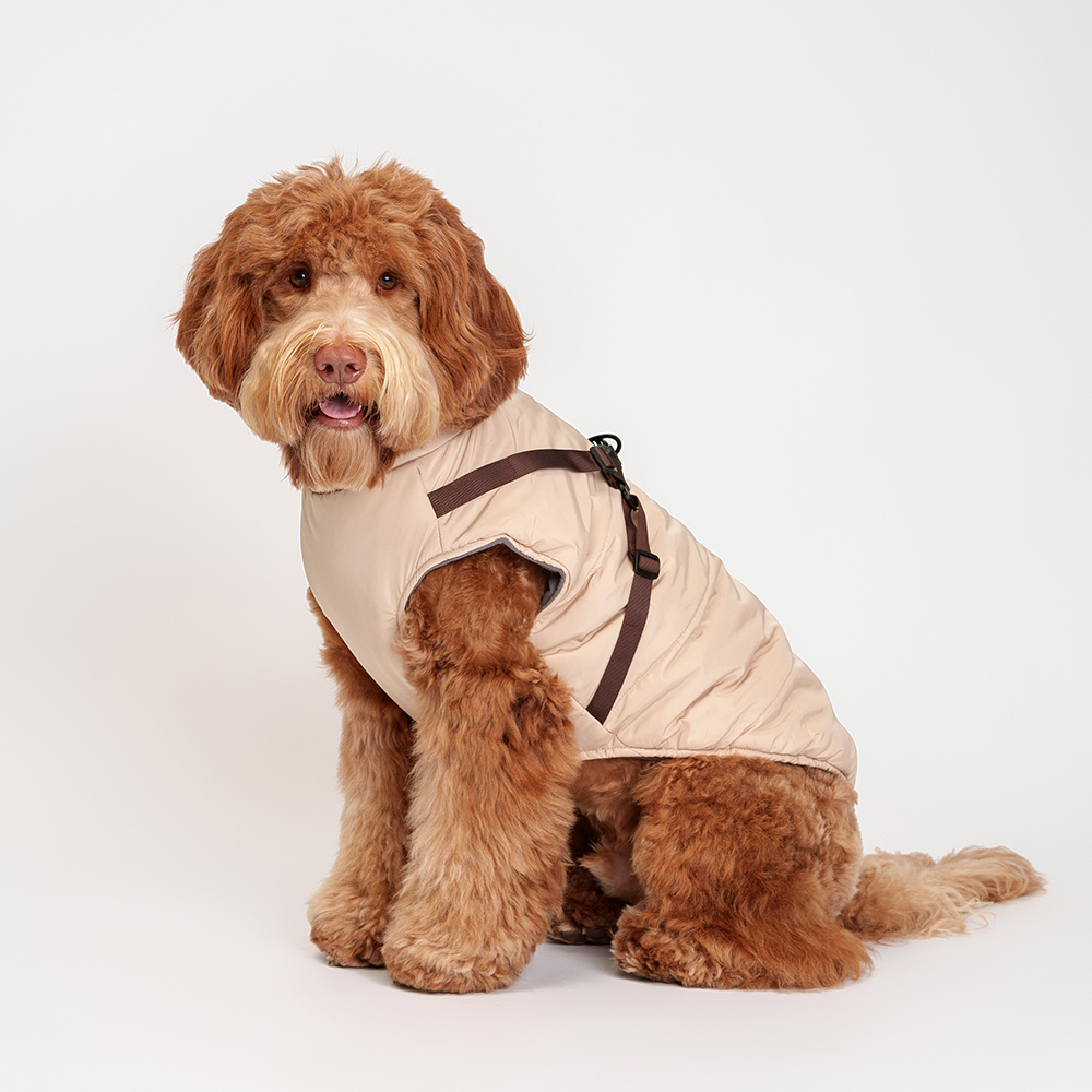 

RURRI Куртка со шлейкой для собак, , бежевая, Бежевый