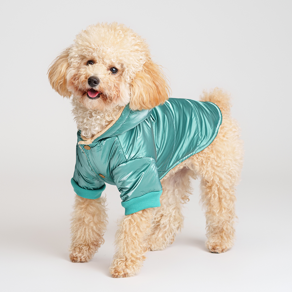 

Petmax Куртка с капюшоном для собак, , зеленая, Зеленый