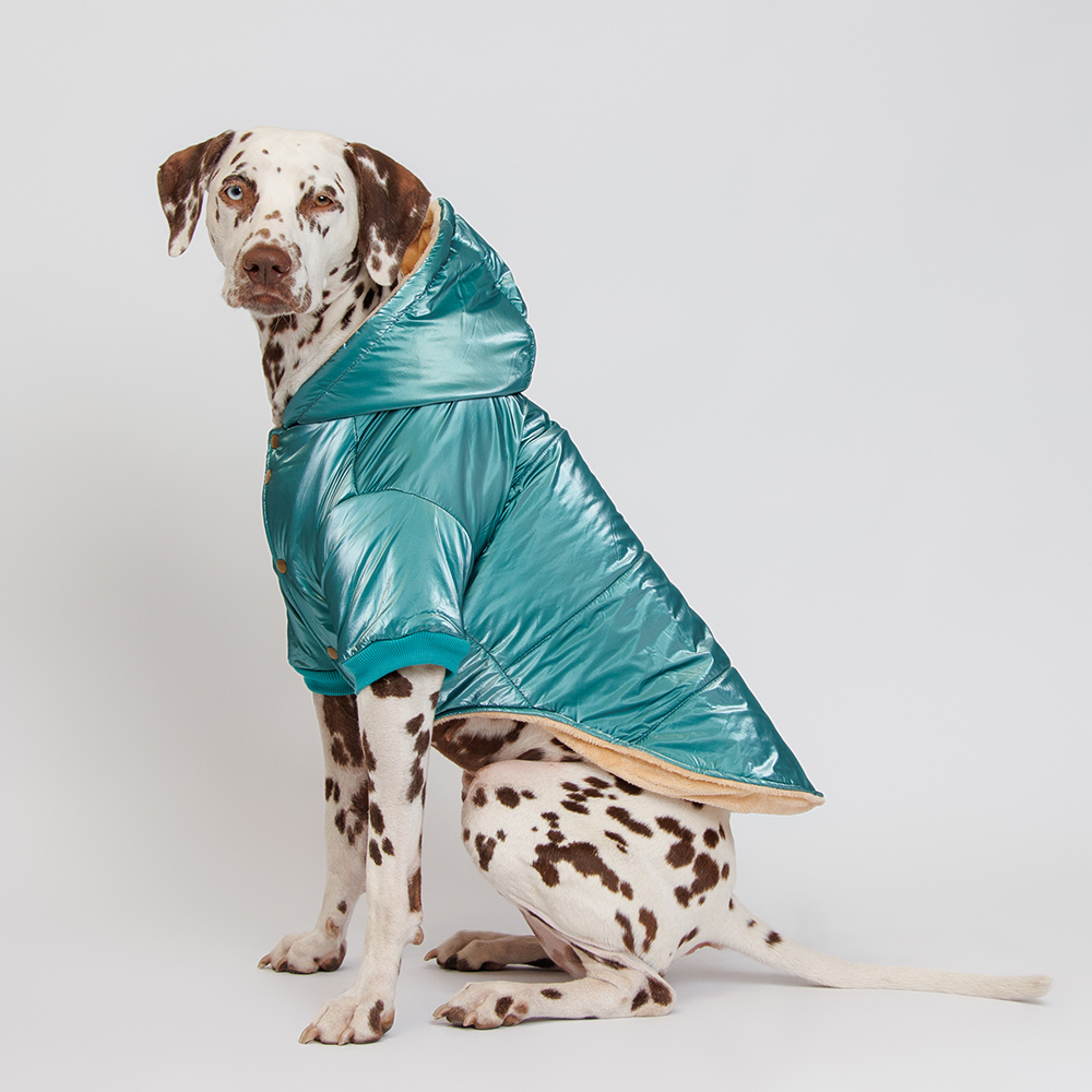 Petmax Куртка с капюшоном для собак, 5XL, зеленая