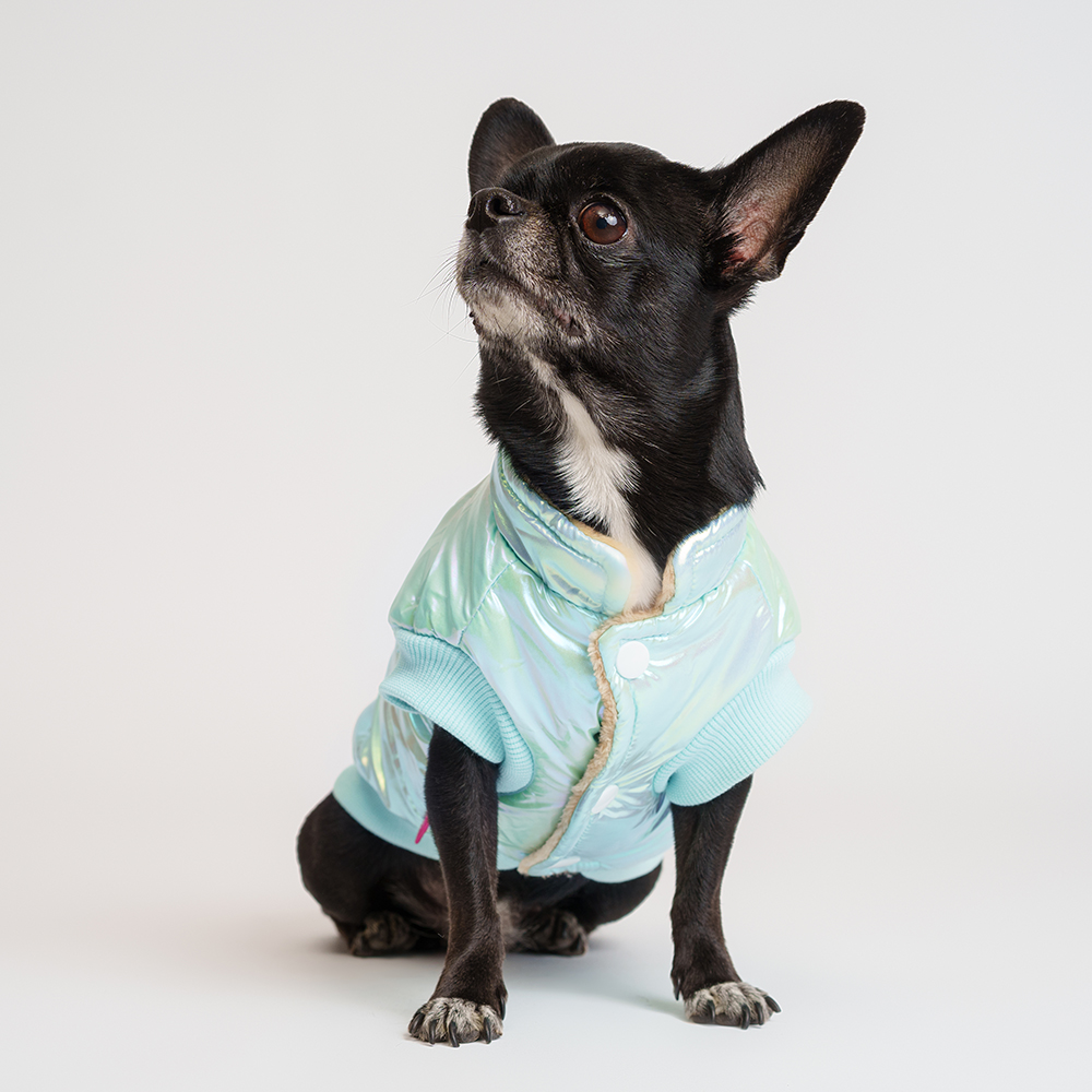 

Petmax Куртка для собак, , голубая (унисекс, Голубой