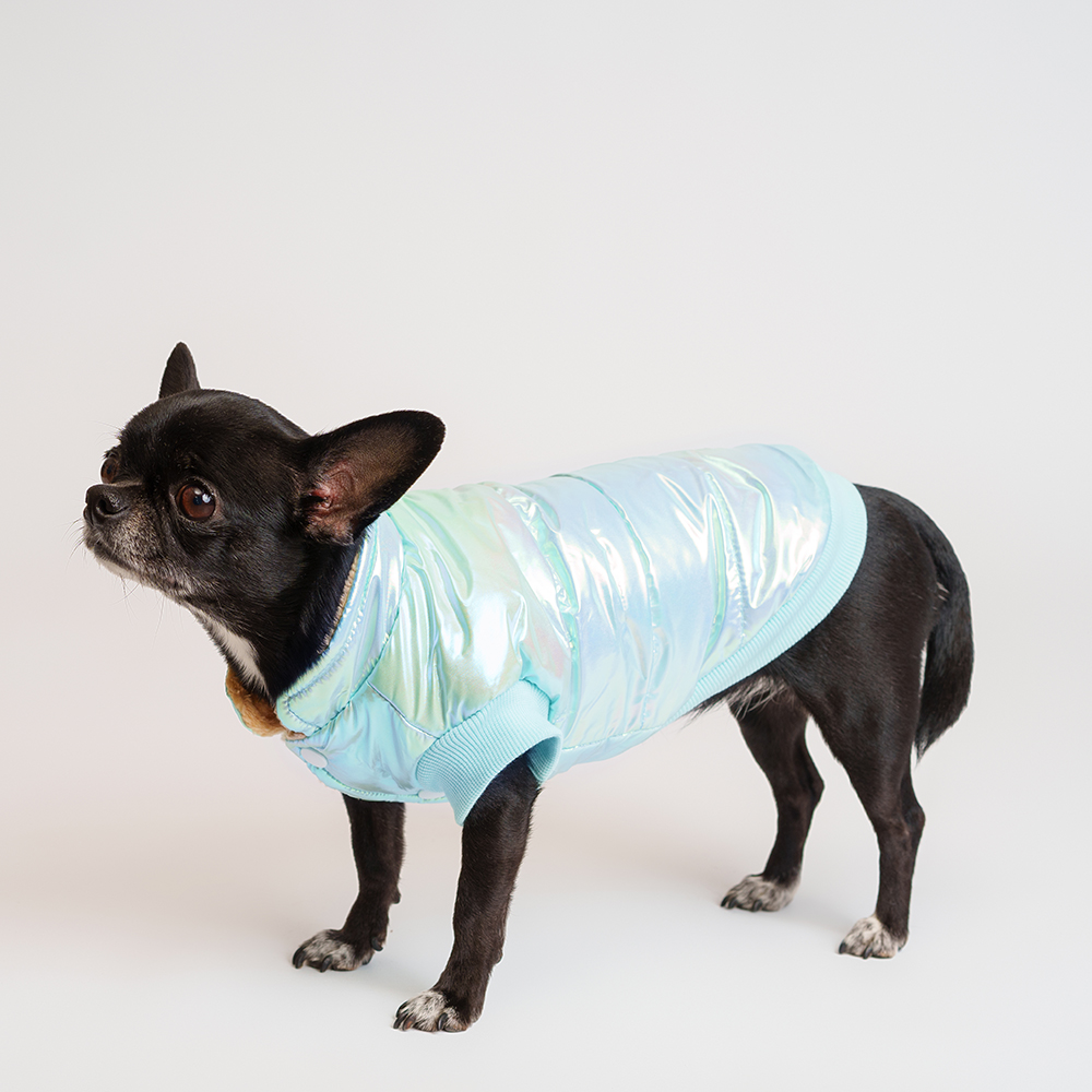 

Petmax Куртка для собак, , голубая (унисекс, Голубой