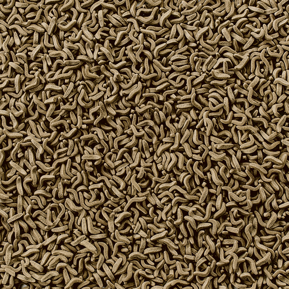 

Tetra ReptoMin Корм для рептилий в гранулах, 300 мл