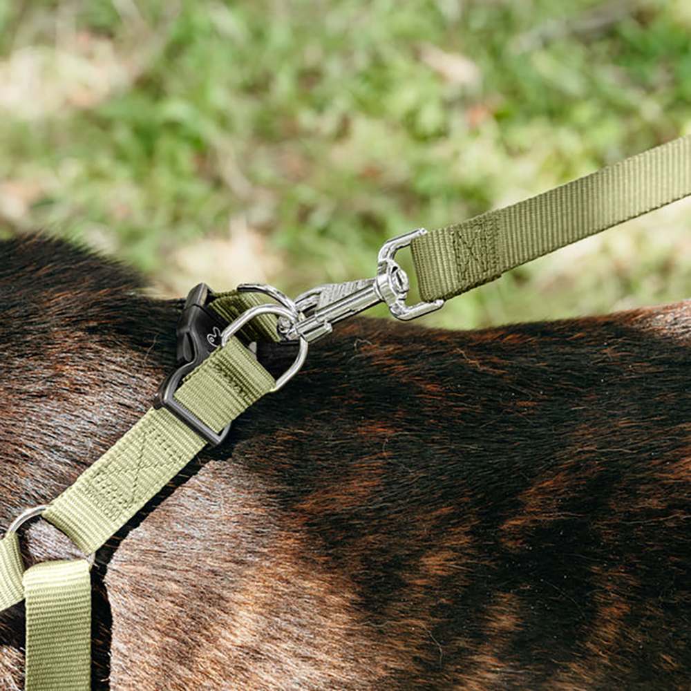 

Ferplast Шлейка для собак на мягкой подкладке Daytona Small, обхват шеи 42-48 см, обхват груди 43-52 см, оливковый, Зеленый