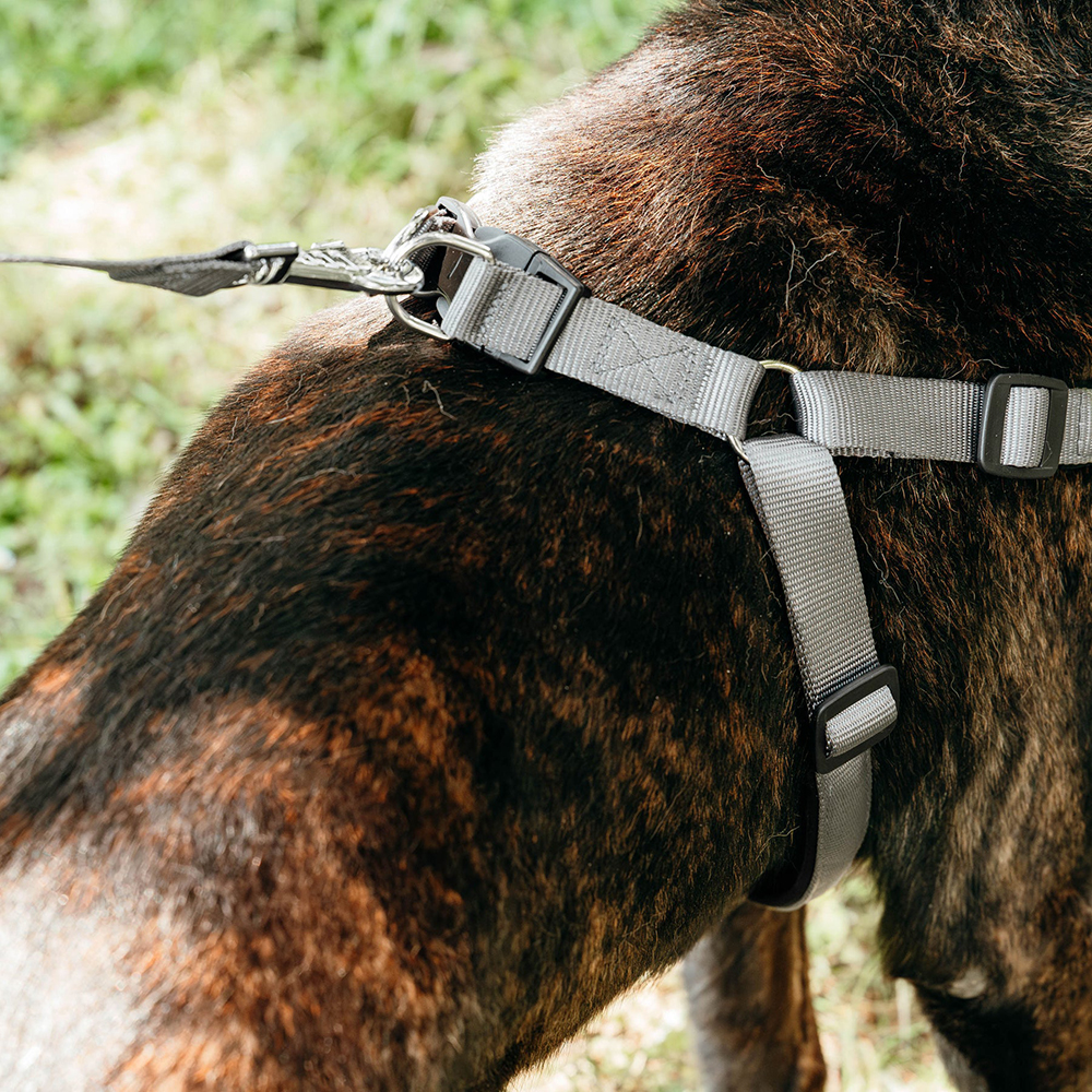 

Ferplast Шлейка для собак на мягкой подкладке Daytona, , обхват шеи 65-70 см, обхват груди 66-73 см, темно-серый