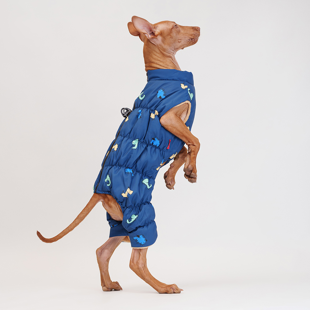 Petmax Комбинезон на замке для собак, 2XL, синий