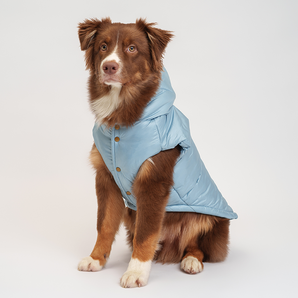 Petmax Куртка с капюшоном для собак Дракоша, 4XL, голубая