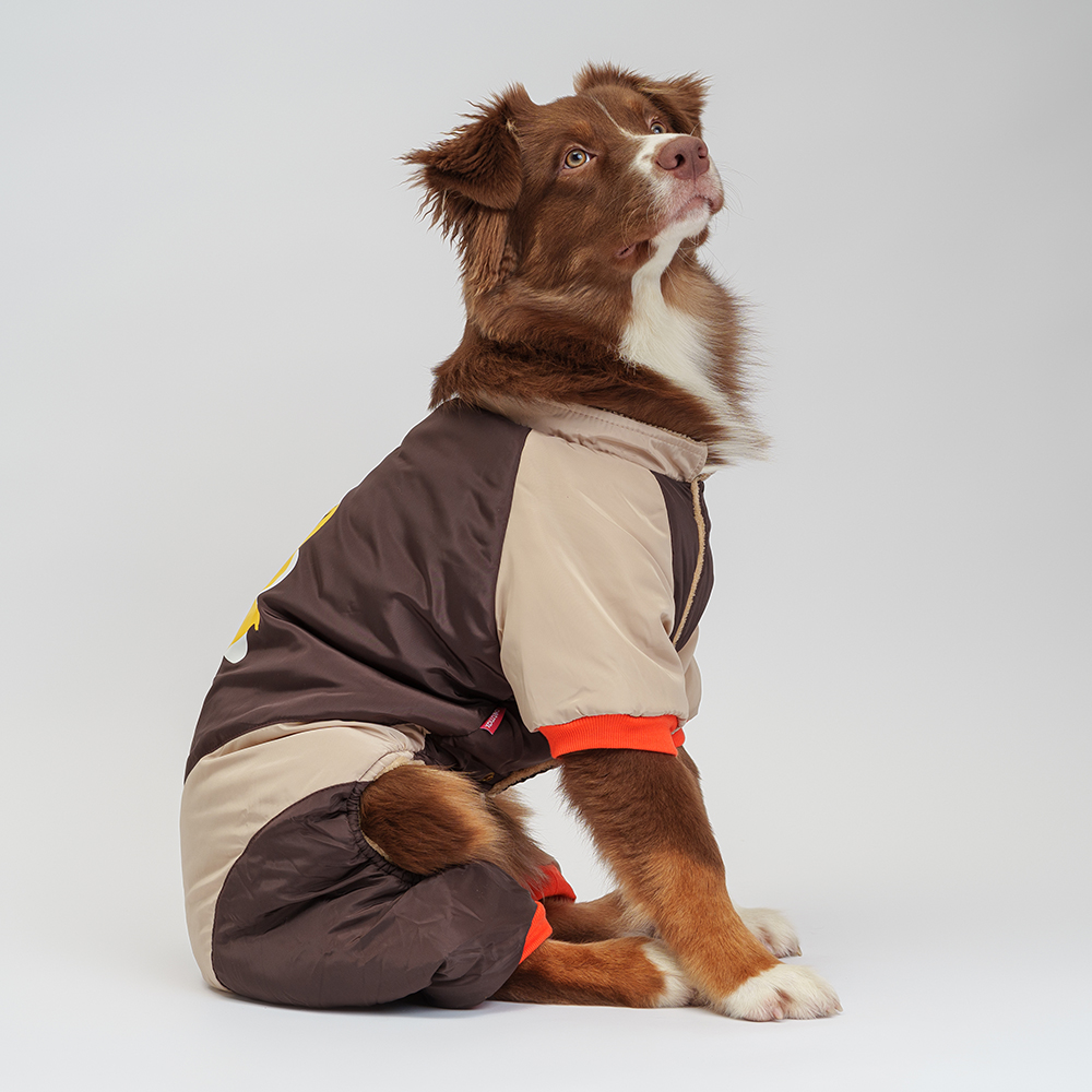 Petmax Комбинезон с медведем для собак, 5XL