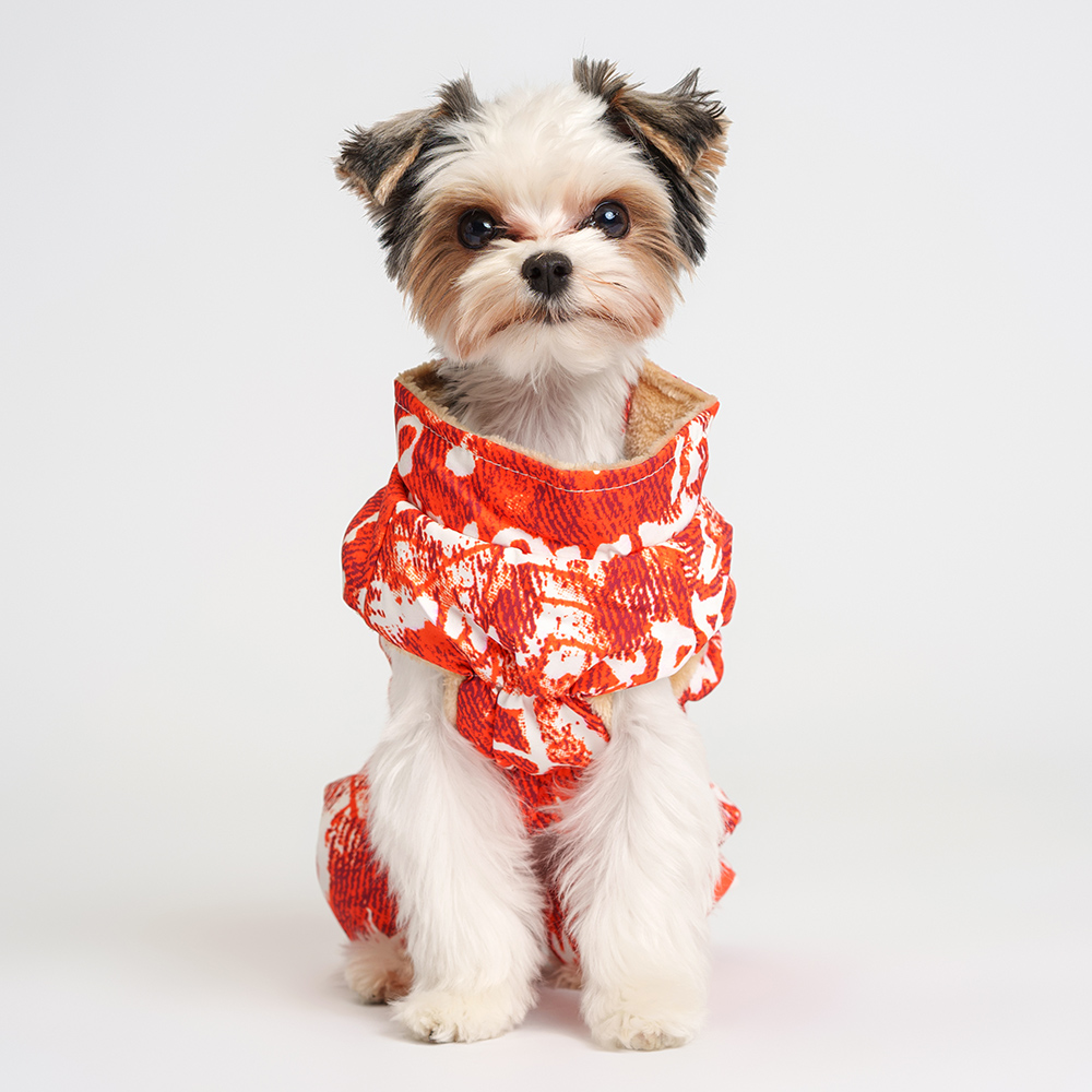 

Petmax Комбинезон на замке для собак, , оранжево-белый (унисекс, Оранжевый