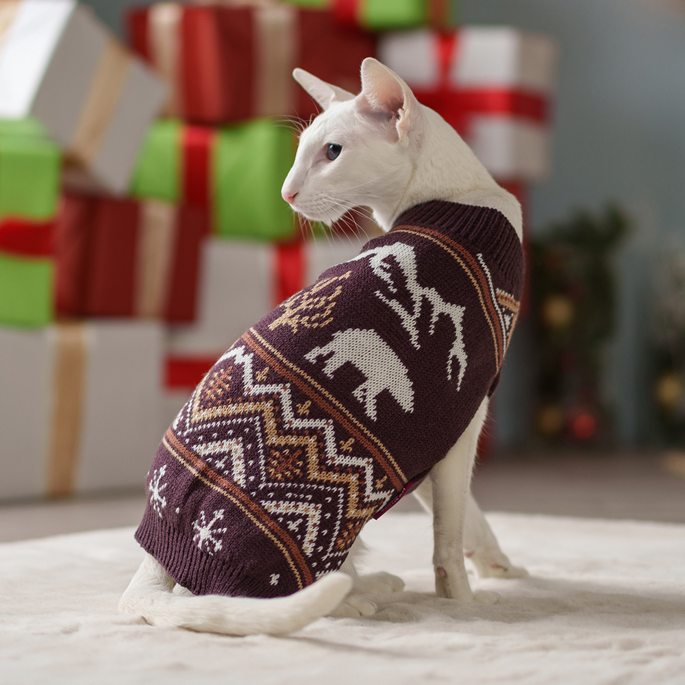 

Petmax Свитер с медведем для кошек и собак, , фиолетовый