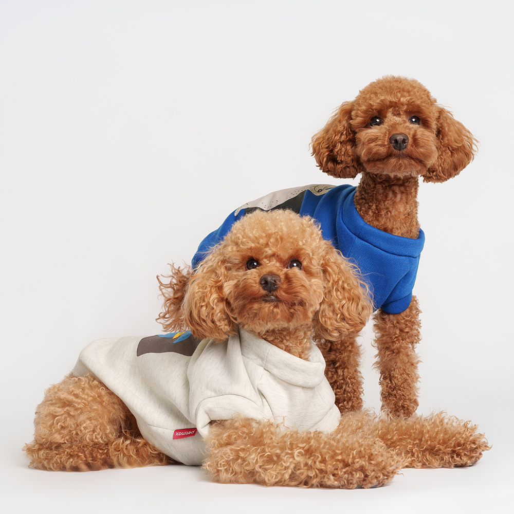 

Petmax Толстовка с медведем для кошек и собак, , синяя, Синий