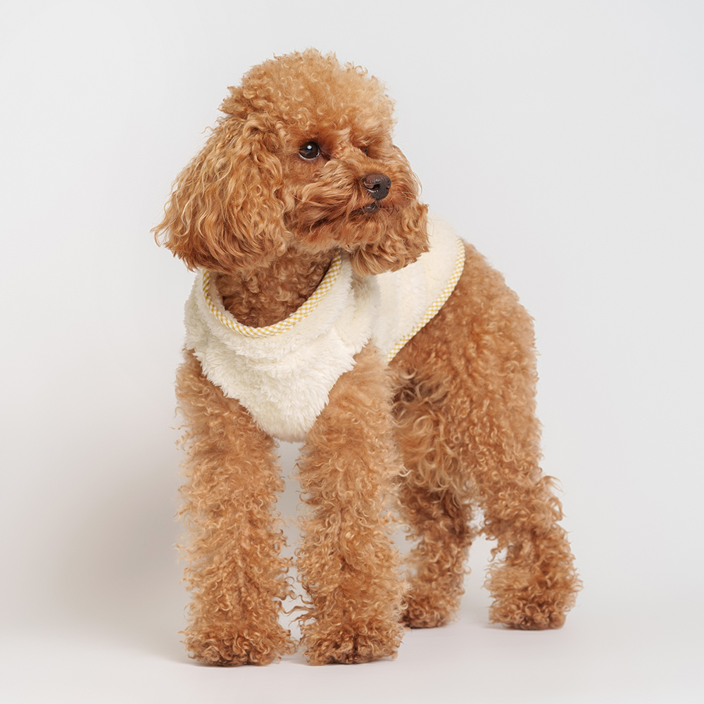 

RURRI Жилетка пальто на замке для собак, , желтое, Желтый