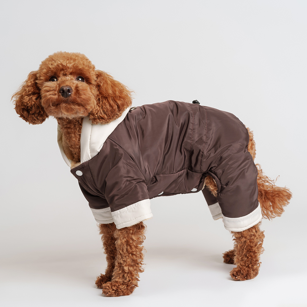 

RURRI Комбинезон для собак, , серый (девочка