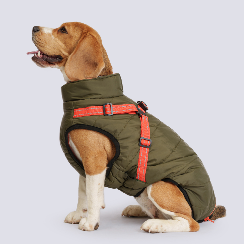 

Rungo Попона теплая со шлейкой для собак, обхват шеи 44 см, обхват груди 56-64 см, длина спины 40 см, зеленая, Зеленый