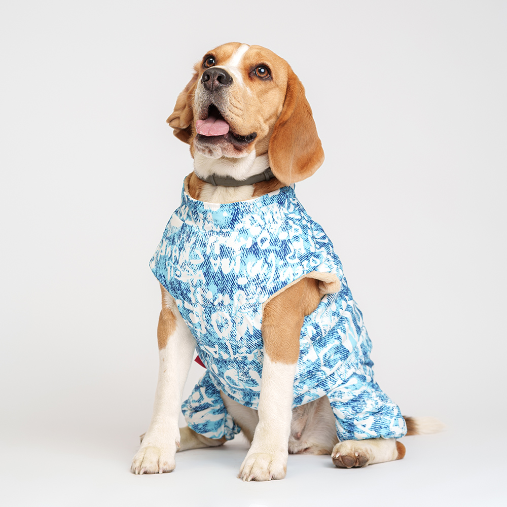 Petmax Комбинезон на замке для собак, 4XL, голубо-белый
