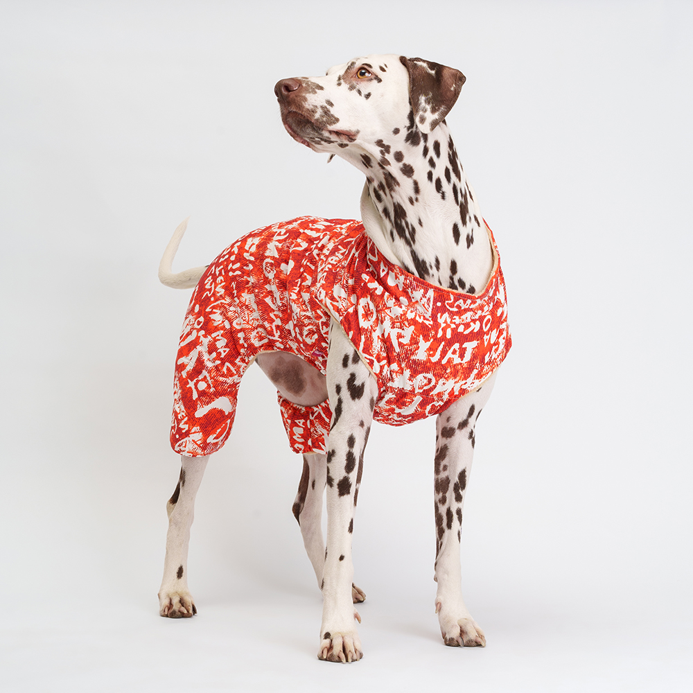 Petmax Комбинезон на замке для собак, 5XL, оранжево-белый