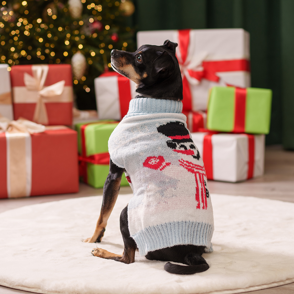 

Petmax Свитер со снеговиком для кошек и собак, , голубой