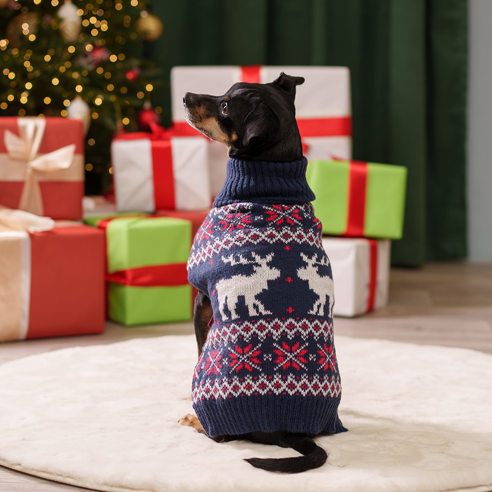 

Petmax Свитер с оленями для кошек и собак, , синий